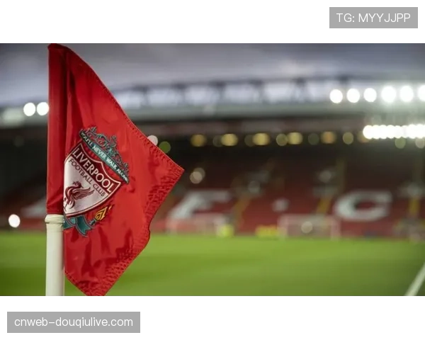 财务报告显示，上赛季意甲联赛整体营收实现8%增长